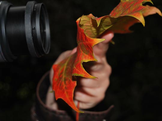  SARA MARISCAL [Málaga] _ captura de una captura 