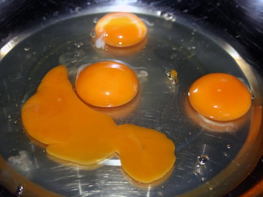  MARTA JIMÉNEZ [Torremolinos-Málaga] _ cara huevo 