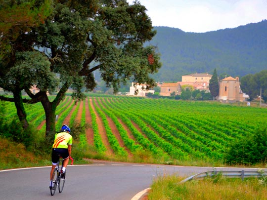  ANGELA LLOP [Torrelles de Foix-Barcelona] _ ciclista 