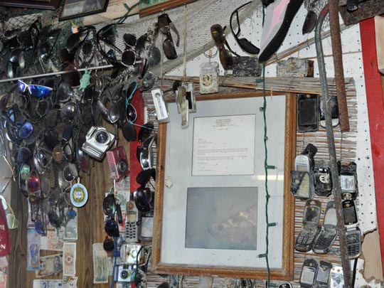  MA. CARMEN FUNEZ [Fuenlabrada-Madrid] _ coleccionismo 