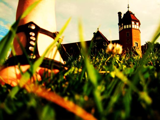  ANDER LUQUE [San Sebastián-Guipuzkoa] _ el pie y el palacio 