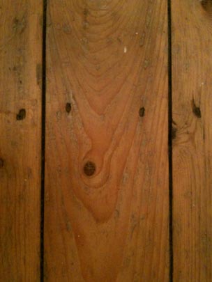  OLGA RIENDA [Londres-Reino Unido] _ el zorro 