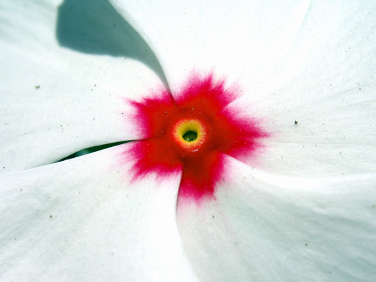  Mª VICTORIA MORENO [Fuengirola-Málaga] _ en el ojo del huracán 