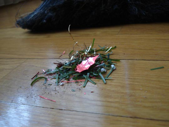  ARIANA SANTAMARIA [Villaviciosa-Asturias] _ espíritu navideño 