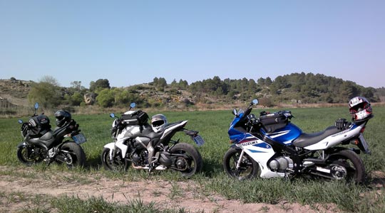  HECTOR ADOLFO AGRAZ [Valencia] _ excursión al campo 