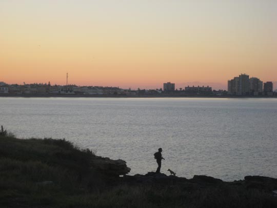  MARTA PLUMED [Zaragoza] _ fotógrafo y perro 