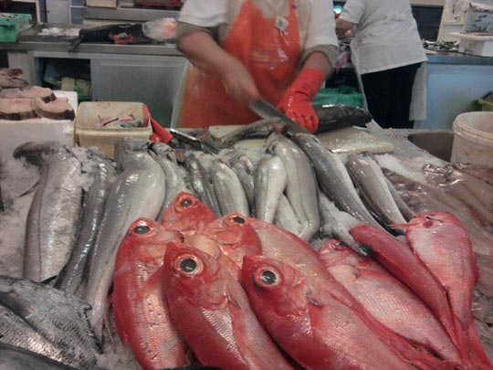  EVA RODRÍGUEZ [Moaña-Pontevedra] _ freshfish 