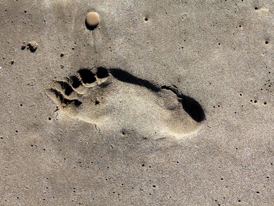  ALBERT RODA [Betera-Valencia] _ la huella 