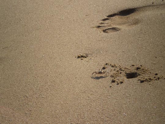  JÉSSICA VÁZQUEZ [Barcelona] _ la playa v.2009 