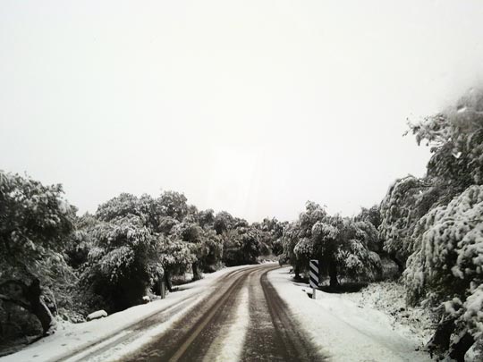  CRISTINA HERNANDEZ [Jaén] _ lo común en estos días 