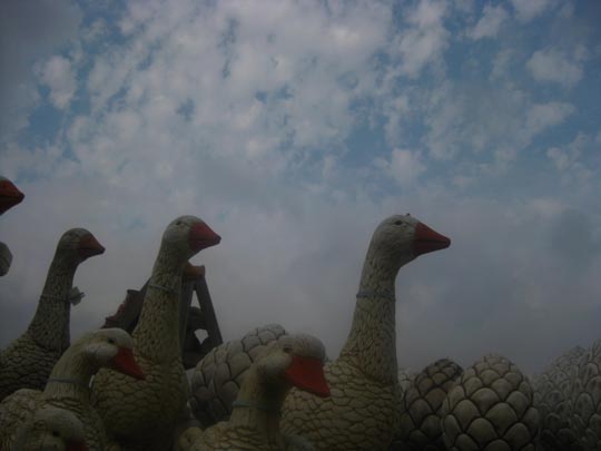  MIKEL CABRERIZO [Pamplona-Navarra] _ los peripatéticos 