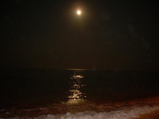  JUAN ORTIZ [Girona] _ ¿luna o foco? 