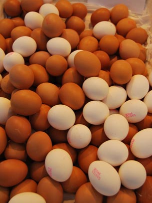  MANUEL ISMAEL PÉREZ [Valencia] _ manda huevos 