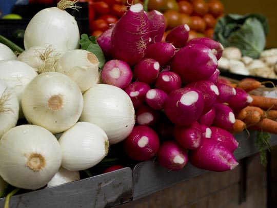  SONIA MATEO [Cádiz] _ mercado 