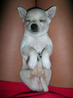  ANGELICA GOMEZ [Sevilla] _ mi pequeño tesoro 