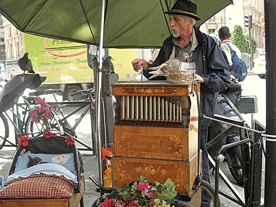  CARMEN BENAVENT [Paterna-Valencia] _ música maestro 