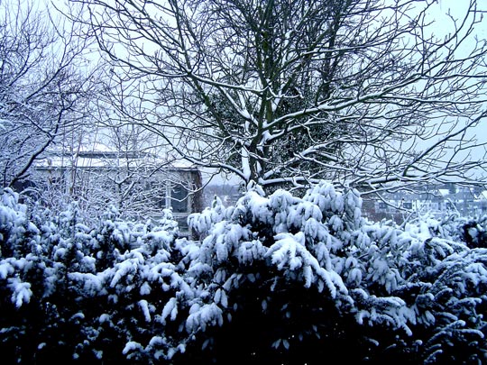  LAURA NOGUÉS [Alicante] _ no salgo ni de coña 