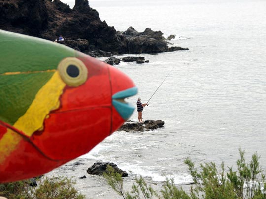  LUIS CAPPELLINI [Las Palmas -Las Palmas] _ pescando 