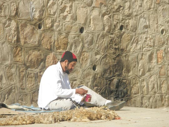  IRIA CARRACELAS [Banyoles-Girona] _ petit suisse 