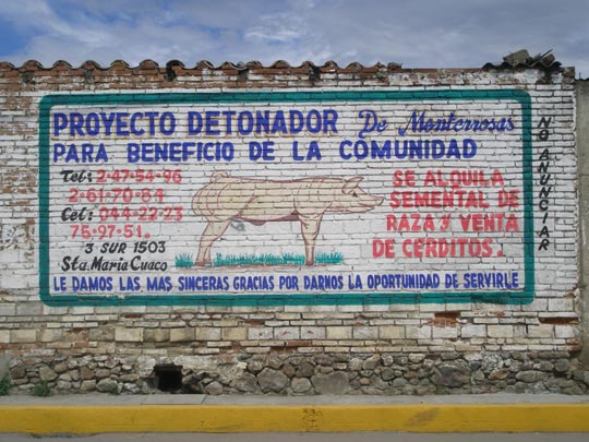  XAVIER RIGATA [Guadalajara] _ prostitución porcina 