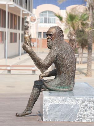  IGNASI ROCA [Barcelona] _ ¡qué mono es el del anís! 