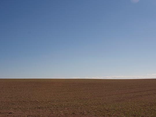  LUIS MIRALLES [Valencia] _ secano 