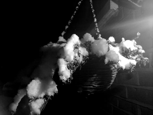  MIGUEL GONZÁLEZ [Belfast-Irlanda] _ snow 