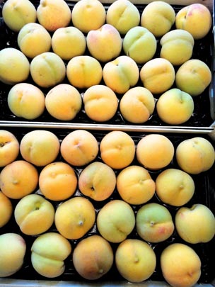  EVA NIETO [Madrid] _ supervitaminarse 