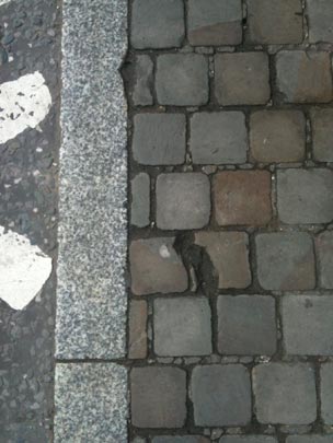  OLGA RIENDA [Londres-Reino Unido] _ veo perros por los suelos 