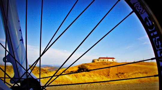  CRISTINA HERNANDEZ [Jaén] _ vista radial 