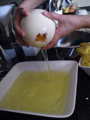  PAU ARENÓS _ avestruz (3) 