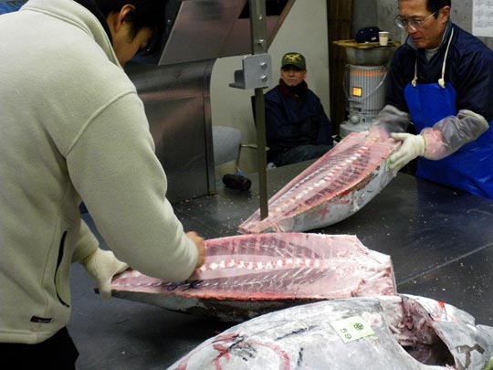  PAU ARENÓS _ cuidado con las manos 