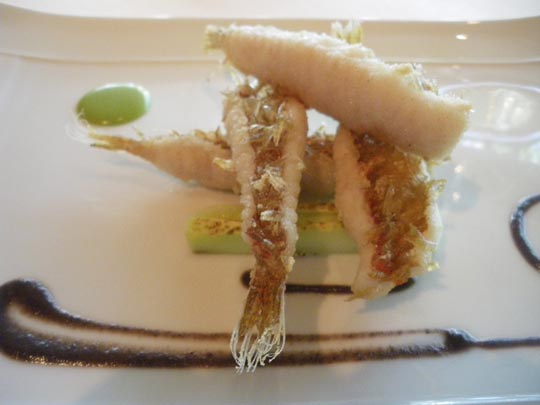  PAU ARENÓS _ el llorito de carme (2) 