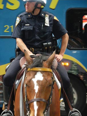  PAU ARENÓS _ el peso de la ley 