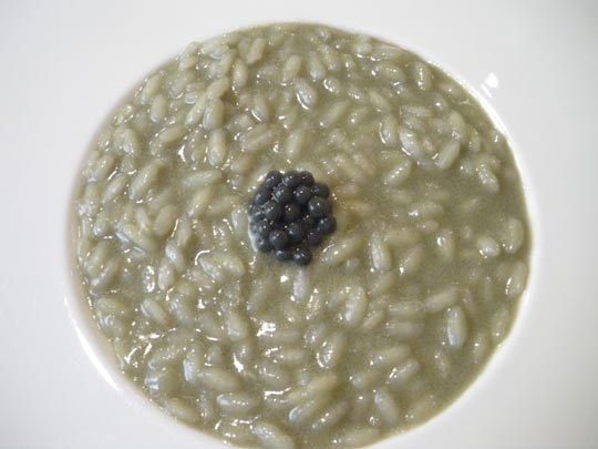  PAU ARENÓS _ el risotto de massimo 