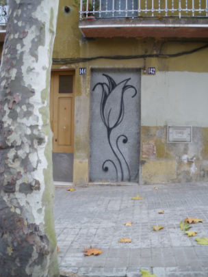  PAU ARENÓS _ flores en el muro (2) 