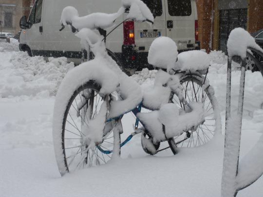  PAU ARENÓS _ imperecedero anhelo 