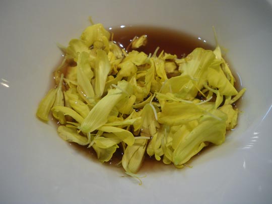  PAU ARENÓS _ los pensamientos de andoni 