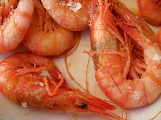  PAU ARENÓS _ orgía 