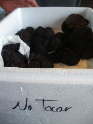  PAU ARENÓS _ peligro, trufas 