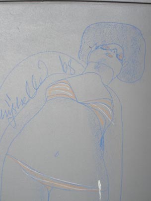  PAU ARENÓS _ pintada suave 