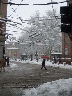  PAU ARENÓS _ telaraña 