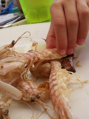  PAU ARENÓS _ tradición y perversión 