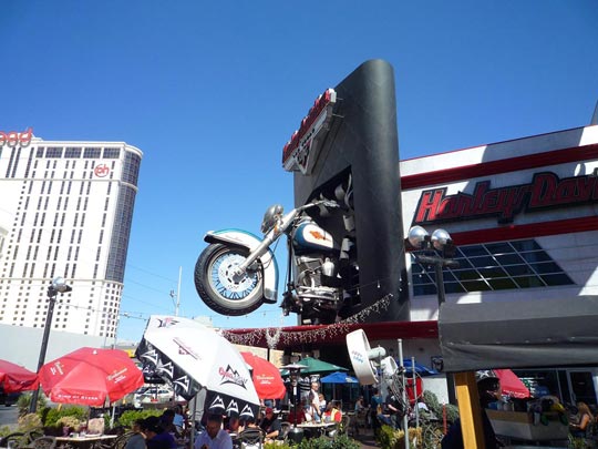  ARACELI SEGARRA _ a lo grande 