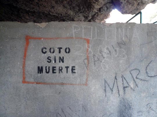  ARACELI SEGARRA _ alguien hará caso 