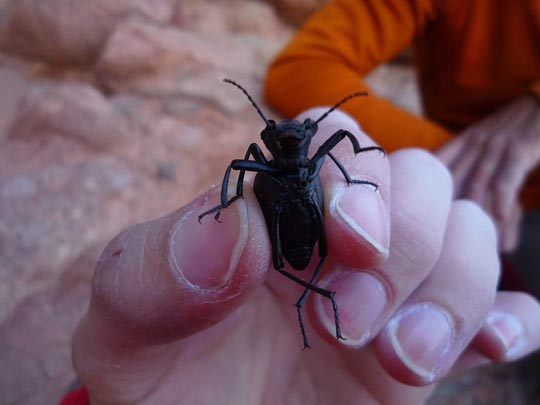  ARACELI SEGARRA _ aquí con unos amigos 