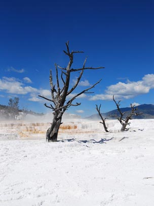  ARACELI SEGARRA _ azul y blanco 