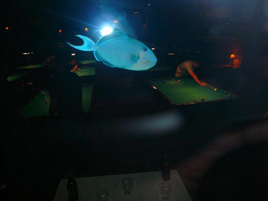  ARACELI SEGARRA _ bajo la mirada del pez 