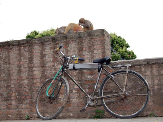  ARACELI SEGARRA _ bike 