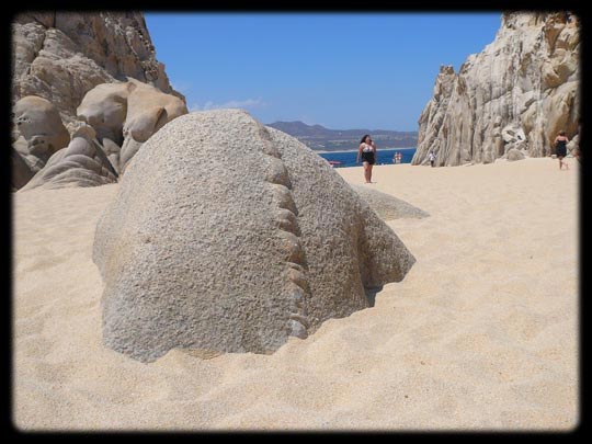  ARACELI SEGARRA _ botero 